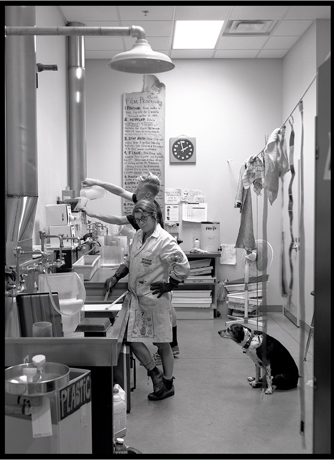 lab